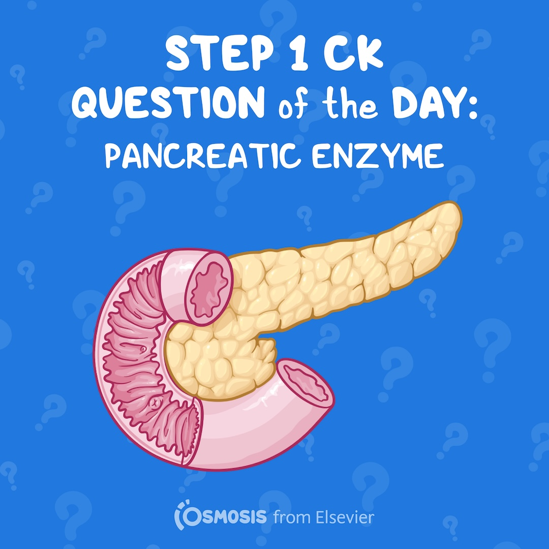 USMLE® Step 1 Question of the Day: Pancreatic enzyme