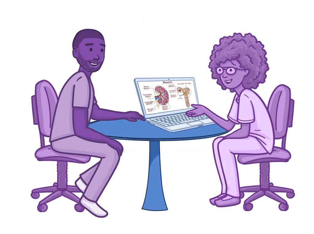 Illustration of a mentor and student sitting at a small table reviewing information on a laptop. The screen shows a labeled kidney diagram, and both individuals appear engaged in discussion, indicating guided mentorship in a healthcare setting.