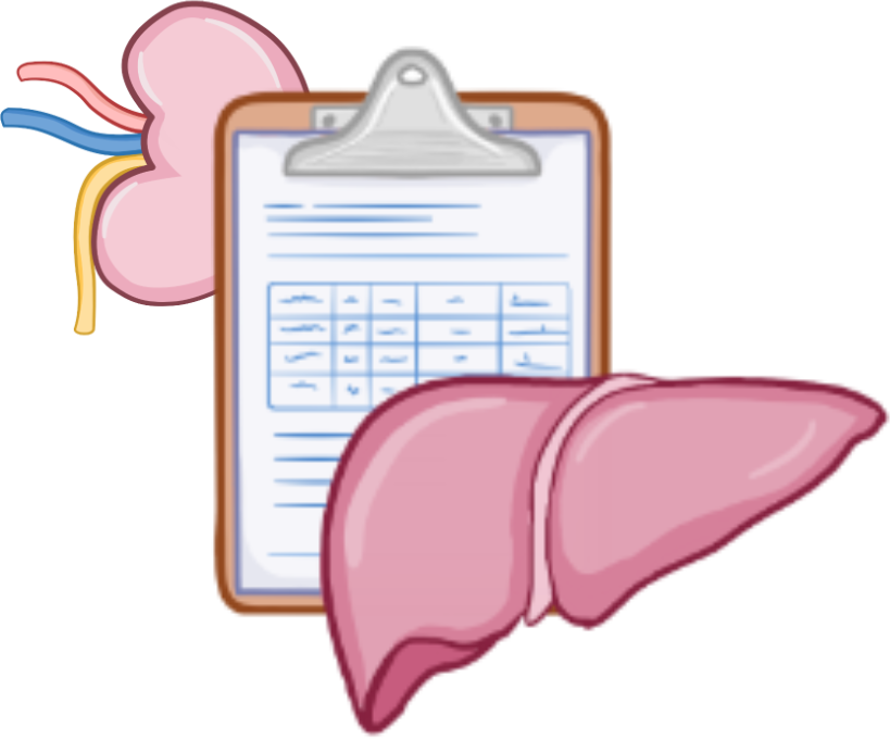 Image of a kidney and a liver next to a clipboard representing test results
