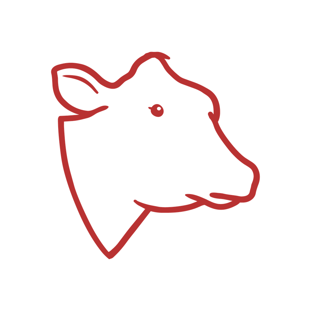An image of a cow's head.