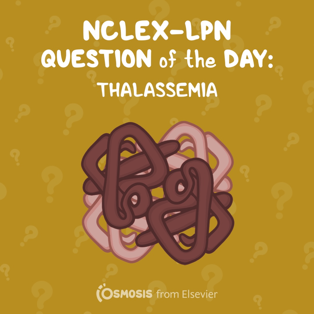 NCLEX® LPN Question of the Day: Thalassemia