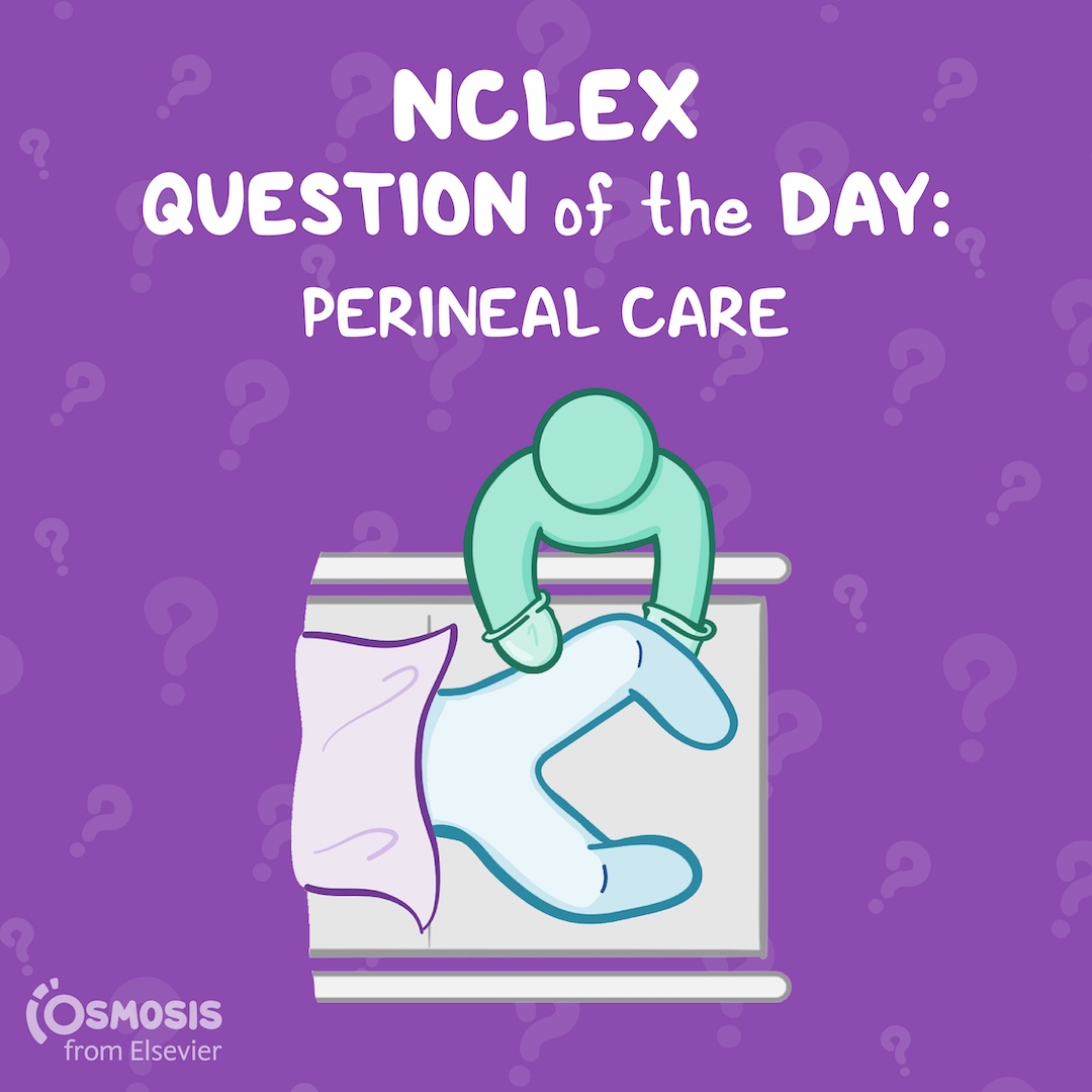 NCLEX-RN® Question of the Day: Perineal care