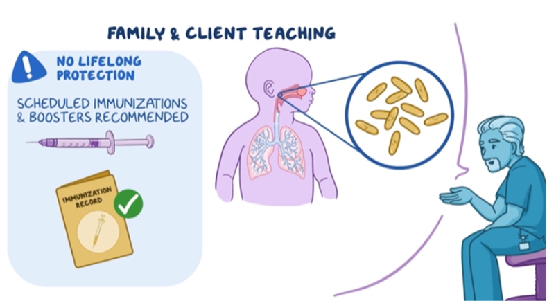 Educational graphic titled “Family & Client Teaching” noting that there is no lifelong protection and that scheduled immunizations and boosters are recommended. It includes images of a syringe, an immunization record, a child’s airway and lungs with magnified bacteria, and a clinician providing education.