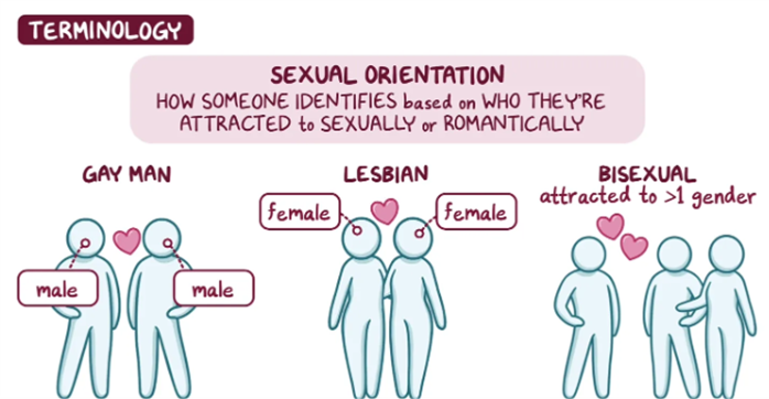 Educational graphic explaining sexual orientation. It defines sexual orientation as how someone identifies based on who they are sexually or romantically attracted to, and shows illustrated examples: a gay man (male attracted to male), a lesbian (female attracted to female), and a bisexual person (attracted to more than one gender).