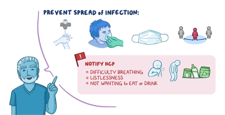 Educational graphic titled “Prevent Spread of Infection” showing handwashing, covering coughs or sneezes, wearing a face mask, and social distancing. A highlighted box advises notifying a healthcare provider if there is difficulty breathing, listlessness, or refusal to eat or drink. A clinician gestures while providing teaching.