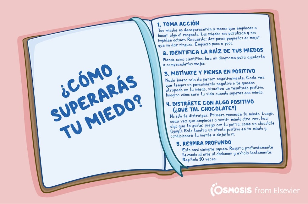 ¿Cómo superarás tu miedo?
Toma acción
Tus miedos no desaparecerán a menos que empieces a hacer algo al respecto. Los miedos nos paralizan y nos impiden actuar. Recuerda: dar pasos pequeños es mejor que no dar ninguno. Empieza poco a poco.
Identifica la raíz de tus miedos.
Piensa como científico: haz un diagrama para ayudarte a comprenderlos mejor.
Motívate y piensa en positivo
Nada bueno sale de pensar negativamente. Cada vez que tengas un pensamiento negativo o te quedes atrapado en tu miedo, visualiza un resultado positivo. Imagina cómo será tu vida cuando superes ese miedo.
Distráete con algo positivo (¿qué tal chocolate?)
No solo te distraigas. Primero reconoce tu miedo. Luego, cada vez que empieces a sentir miedo otra vez, haz algo que te guste: juega con tu perro, come un chocolate (¡yay!). Esto tendrá un efecto positivo en tu miedo y condicionará tu mente a dejarlo ir.
Respira profundo
Esto casi siempre ayuda. Respira profundamente llevando el aire al abdomen y exhala lentamente. Repítelo 10 veces.