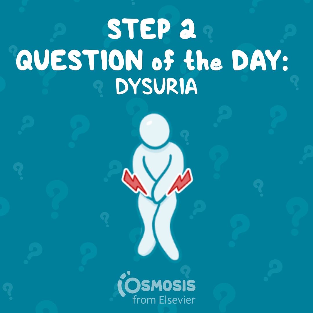 USMLE® Step 2 CK Question of the Day: Dysuria