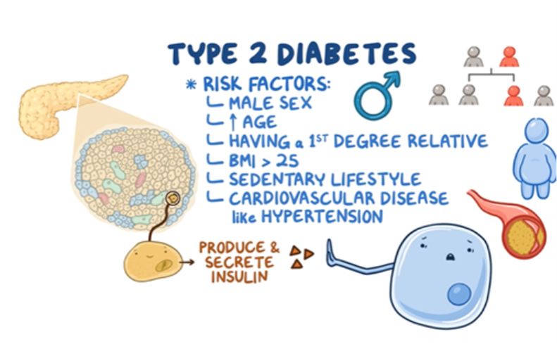 Educational graphic about type 2 diabetes showing risk factors including male sex, older age, family history, BMI over 25, sedentary lifestyle, and cardiovascular disease such as hypertension. It also includes illustrations of the pancreas, insulin production, body fat, and cells to represent insulin resistance and glucose metabolism.
