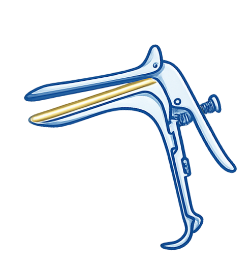 Illustration of a vaginal speculum, a medical instrument with hinged blades used during pelvic examinations to gently open the vaginal canal for examination or procedures.