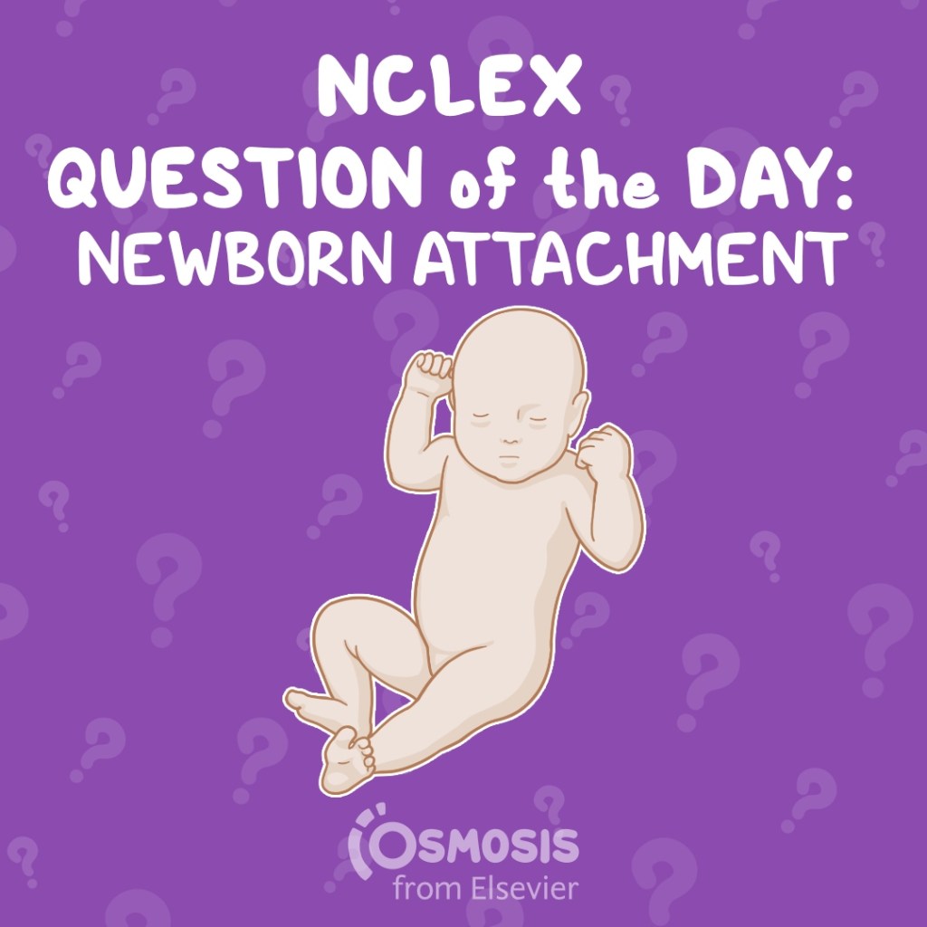 NCLEX-RN® Question of the Day: Newborn attachment