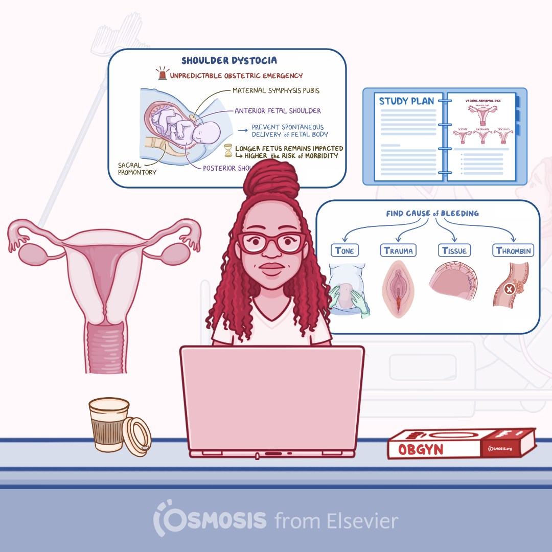 OB/GYN Shelf Exam: How to Study Less and Score Better