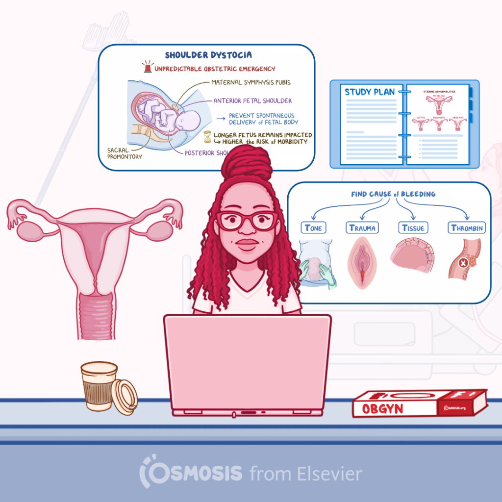 OB/GYN Shelf Exam: How to Study Less and Score Better