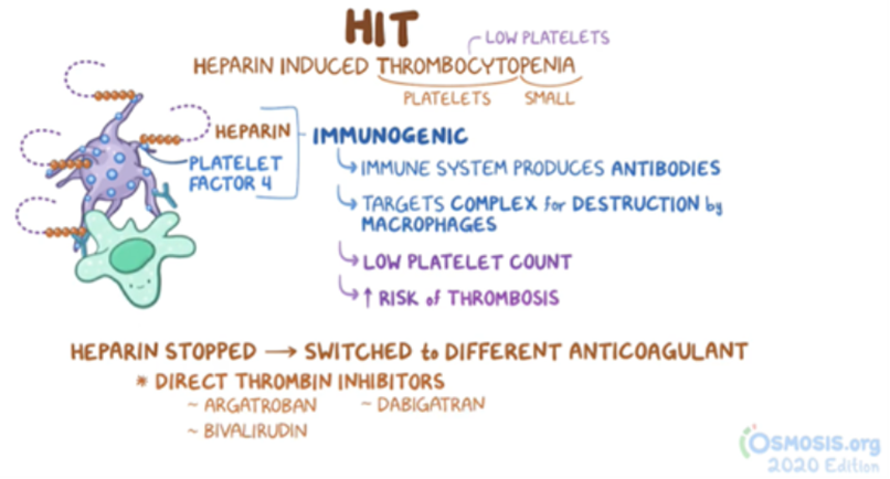 Educational diagram explaining heparin-induced thrombocytopenia (HIT). It shows heparin binding to platelet factor 4, triggering an immune response that produces antibodies, leading to platelet destruction, low platelet count, and increased risk of thrombosis. It also notes that heparin should be stopped and replaced with alternative anticoagulants such as direct thrombin inhibitors (e.g., argatroban, bivalirudin, dabigatran).