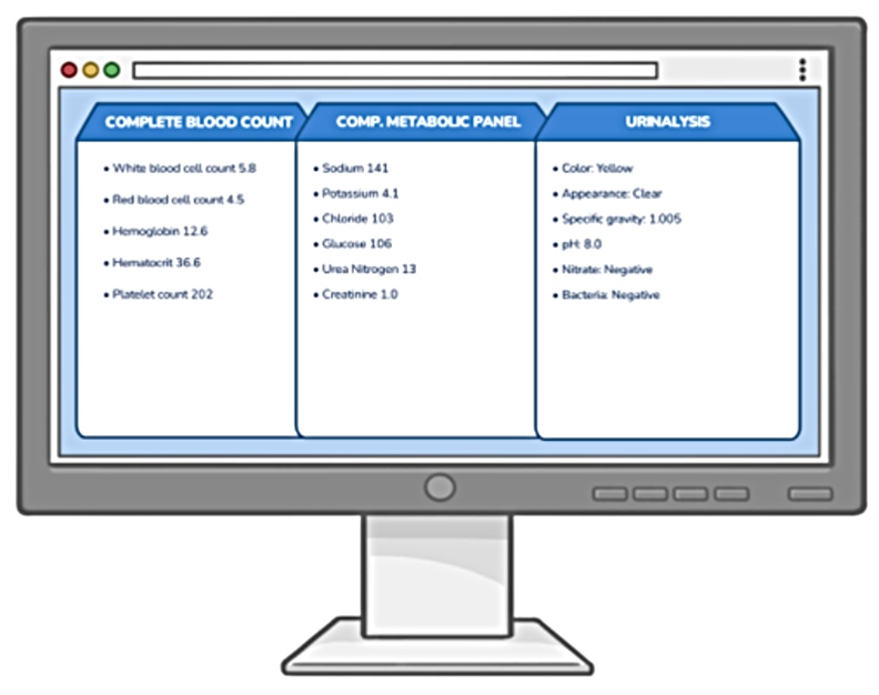 Illustration of a computer monitor displaying laboratory results organized into three sections: complete blood count, comprehensive metabolic panel, and urinalysis. The screen lists values for blood cells, electrolytes, kidney function markers, glucose, and urine characteristics, presenting a summary of routine diagnostic test results.