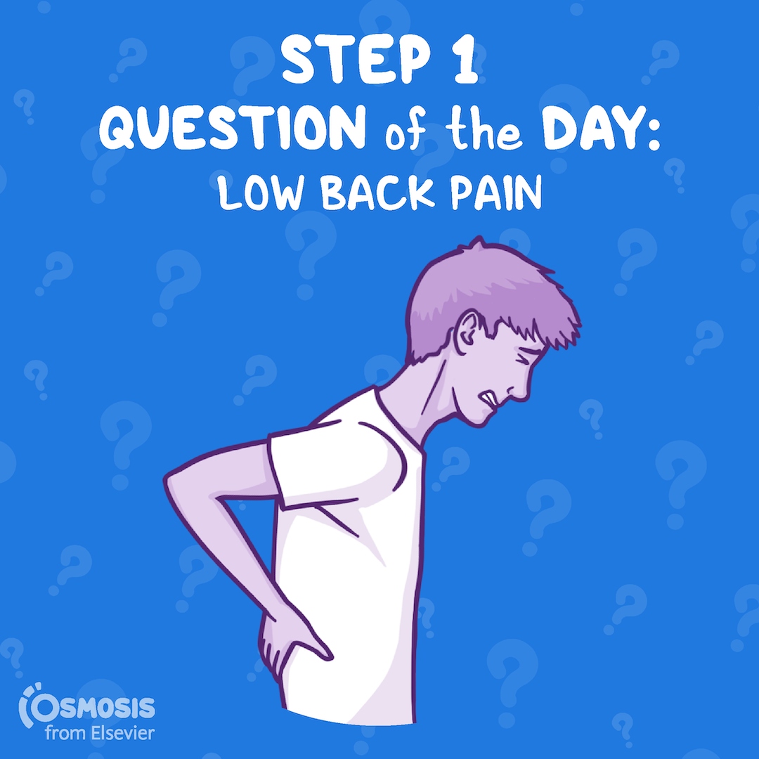 USMLE® Step 1 Question of the Day: Low back pain