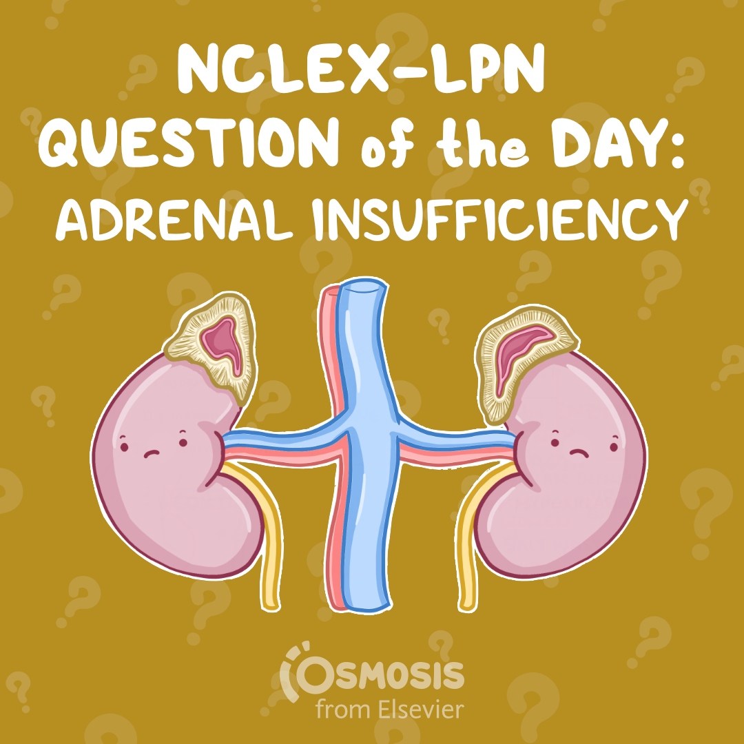 NCLEX® LPN Question of the Day: Adrenal insufficiency