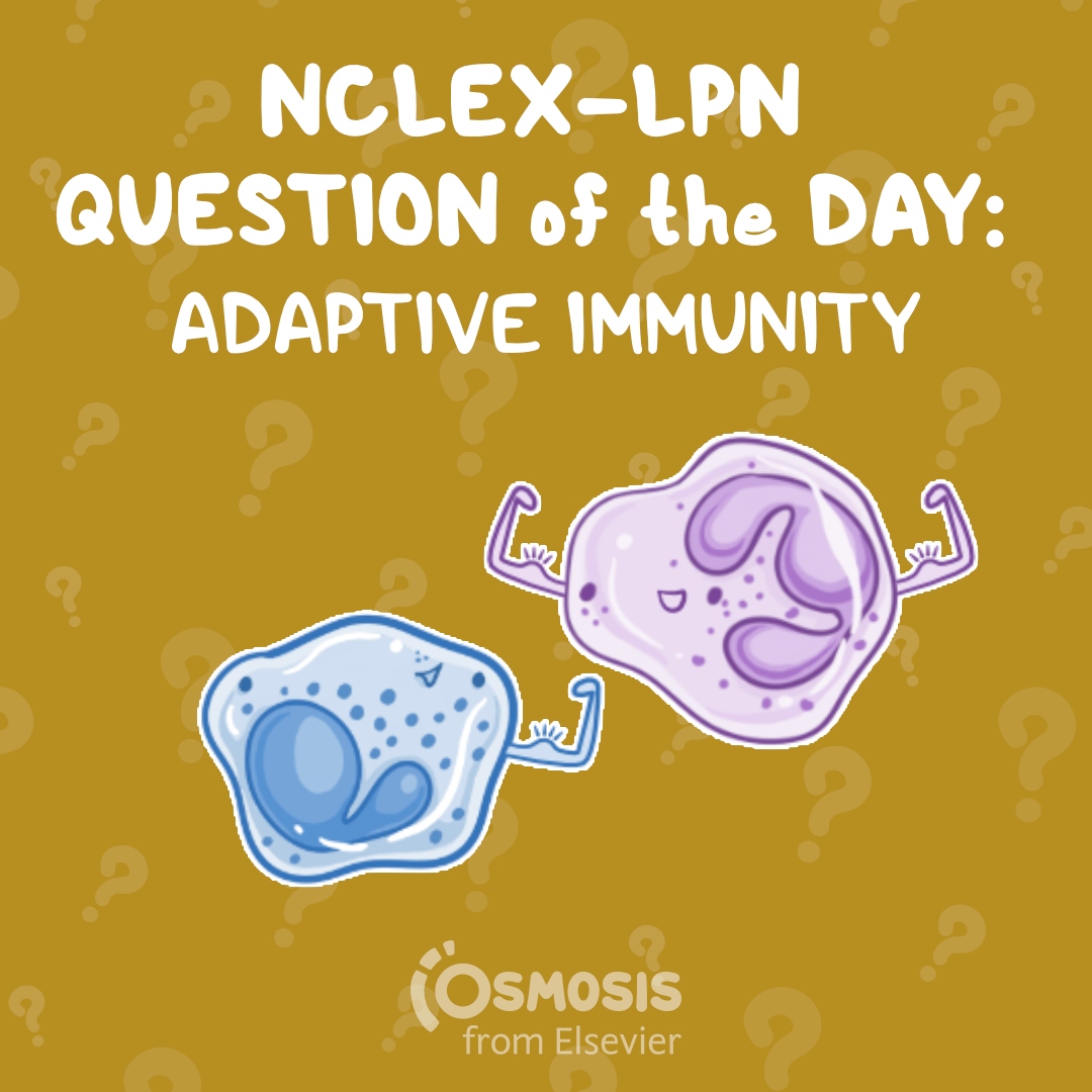 NCLEX® LPN Question of the Day: Adaptive immunity