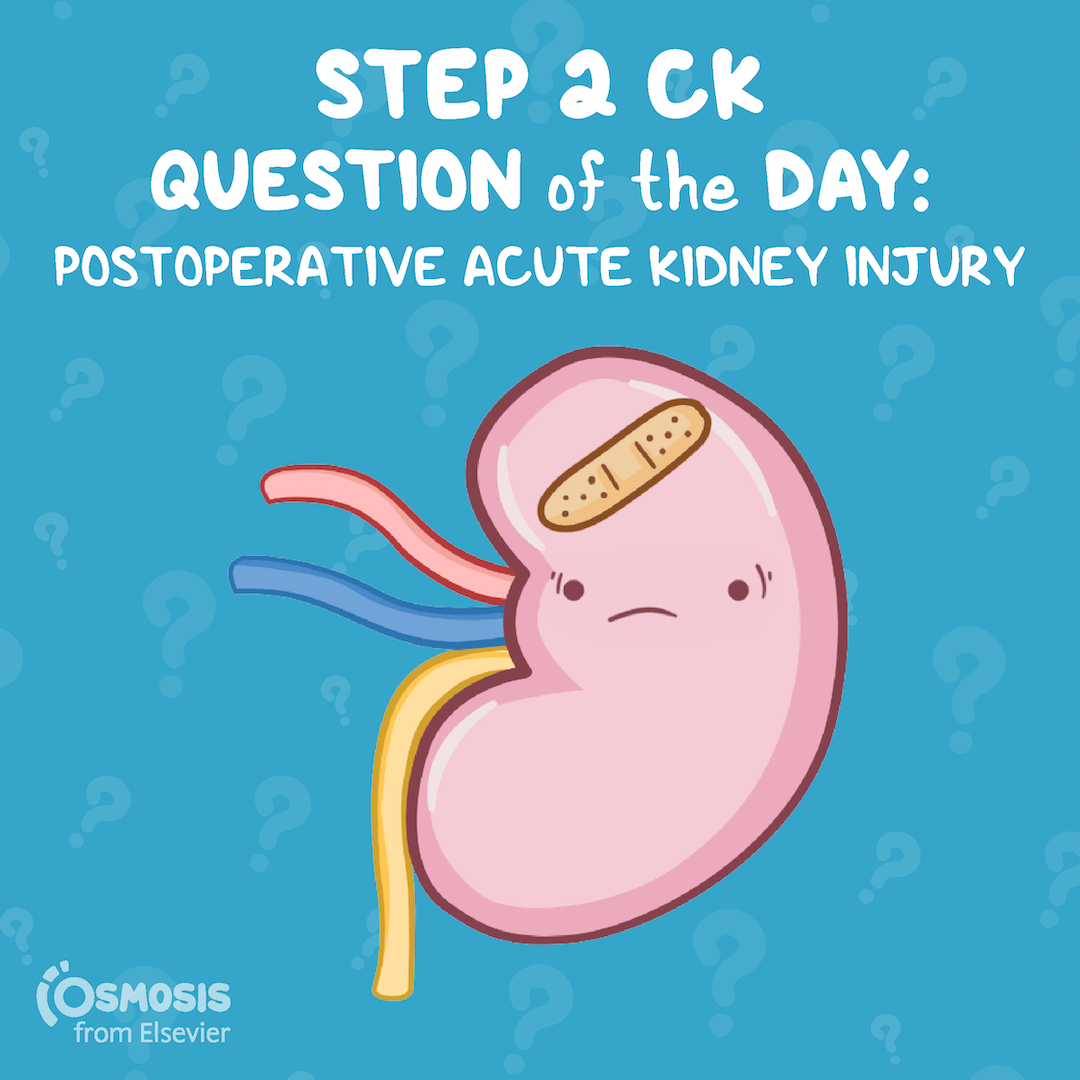USMLE® Step 2 CK Question of the Day: Postoperative acute kidney injury
