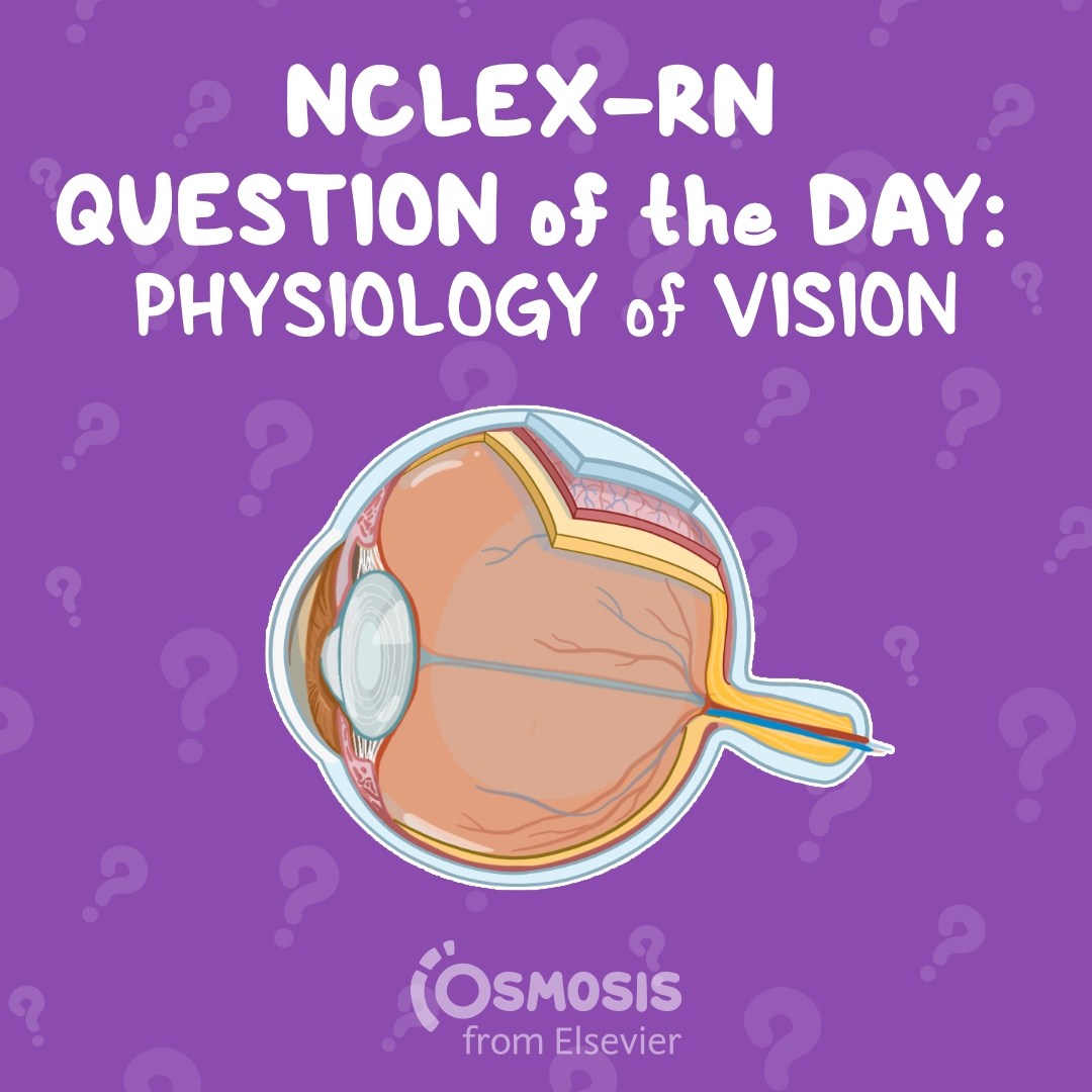 NCLEX-RN® Question of the Day: Physiology of vision