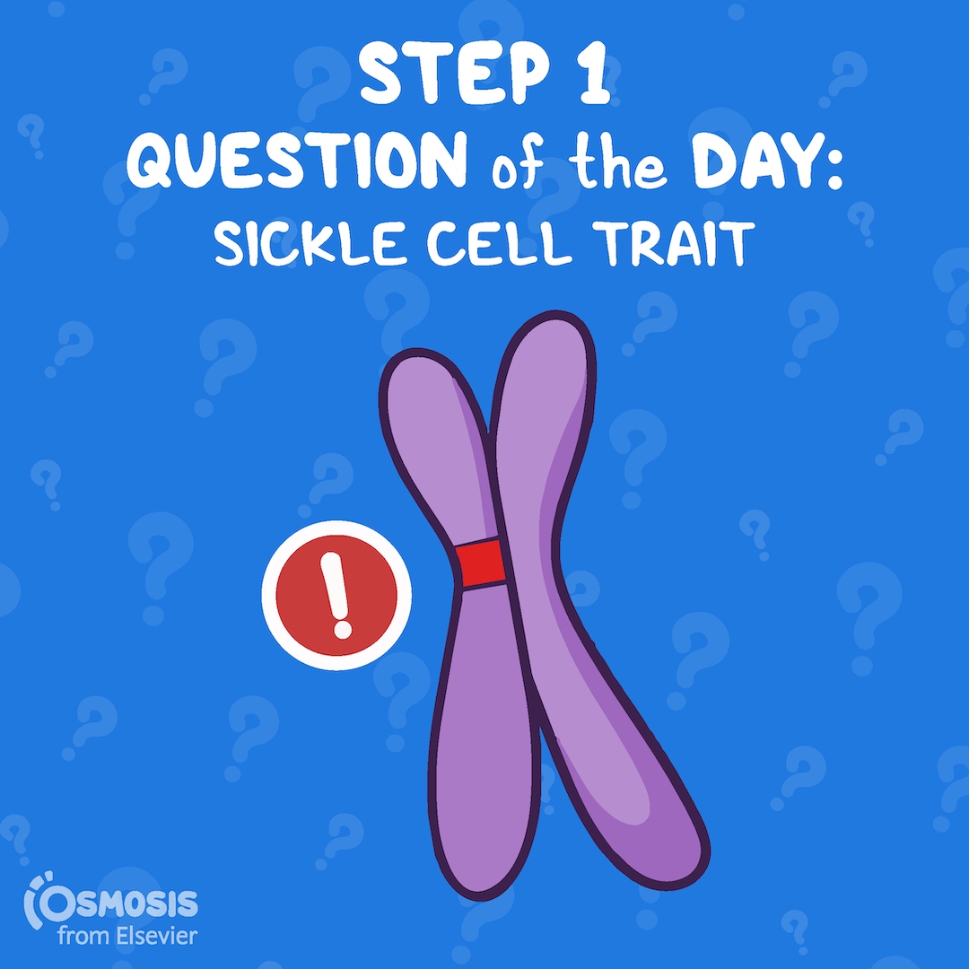 USMLE® Step 1 Question of the Day: Sickle cell trait
