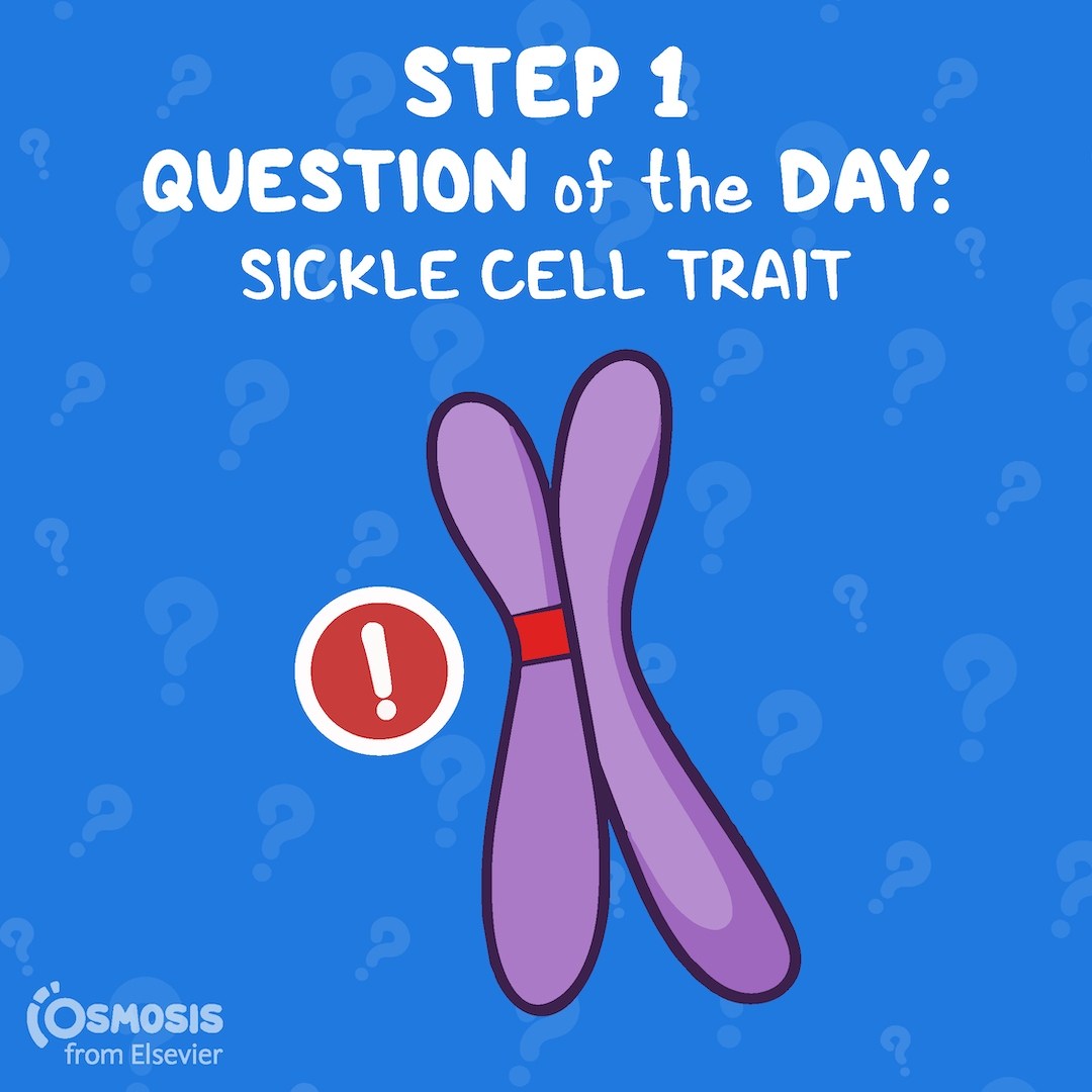 USMLE® Step 1 Question of the Day: Sickle cell trait