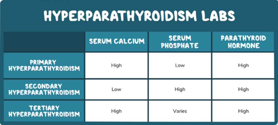 Osmosis.org style illustration of a hyperparathyroidism lab table comparing serum calcium, serum phosphate, and parathyroid hormone levels in primary, secondary, and tertiary hyperparathyroidism.