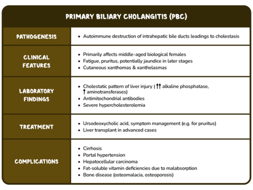 Osmosis.org educational table summarizing primary biliary cholangitis (PBC). It describes autoimmune destruction of the intrahepatic bile ducts leading to cholestasis, common clinical features such as fatigue and pruritus, characteristic laboratory findings including elevated alkaline phosphatase and antimitochondrial antibodies, treatment with ursodeoxycholic acid or liver transplantation in advanced disease, and complications including cirrhosis, portal hypertension, hepatocellular carcinoma, vitamin deficiencies, and bone disease.