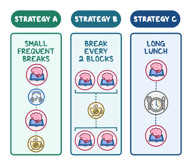 Osmosis.org style illustration comparing three break strategies for the COMLEX exam: taking small frequent breaks, taking a break after every two testing blocks, or taking one longer lunch break.