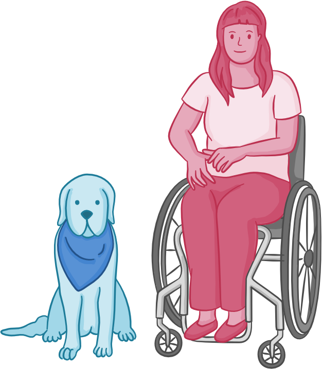 Osmosis.org style illustration of a person seated in a wheelchair beside a service dog wearing a blue bandana.