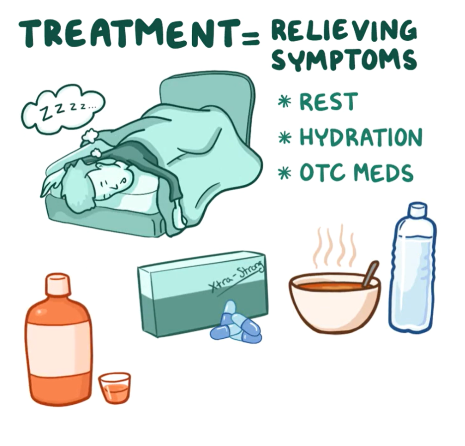 Osmosis.org style illustration showing symptom-relief treatments for illness, including rest, hydration, and over-the-counter medications, with a person resting in bed alongside medicine, warm soup, and water.